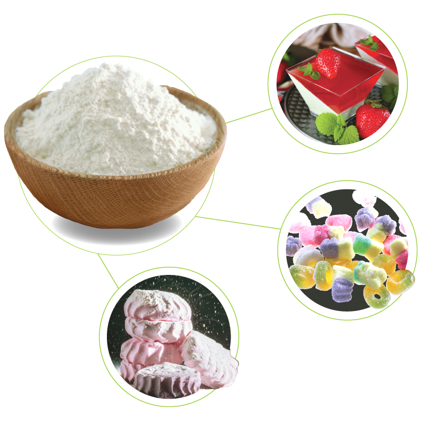 Introduction Agar Powder